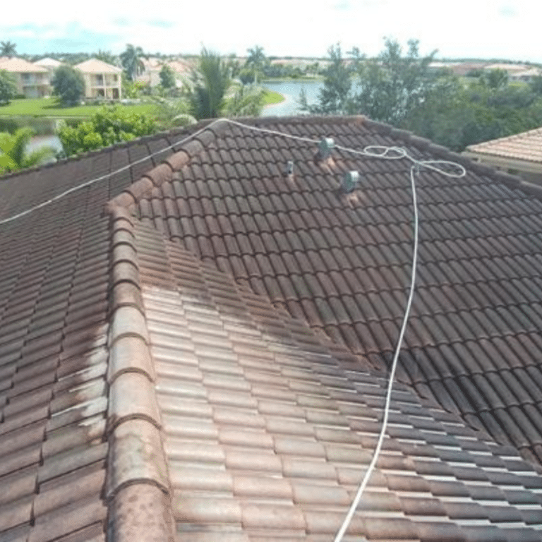 Roof Cleaning Company in Knoxville, TN