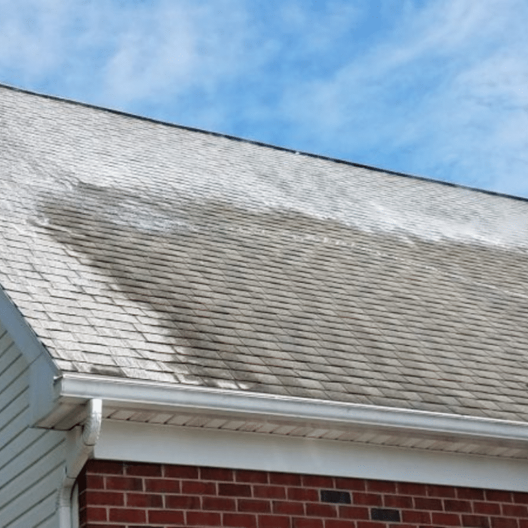 Roof Cleaning Company in Knoxville, TN