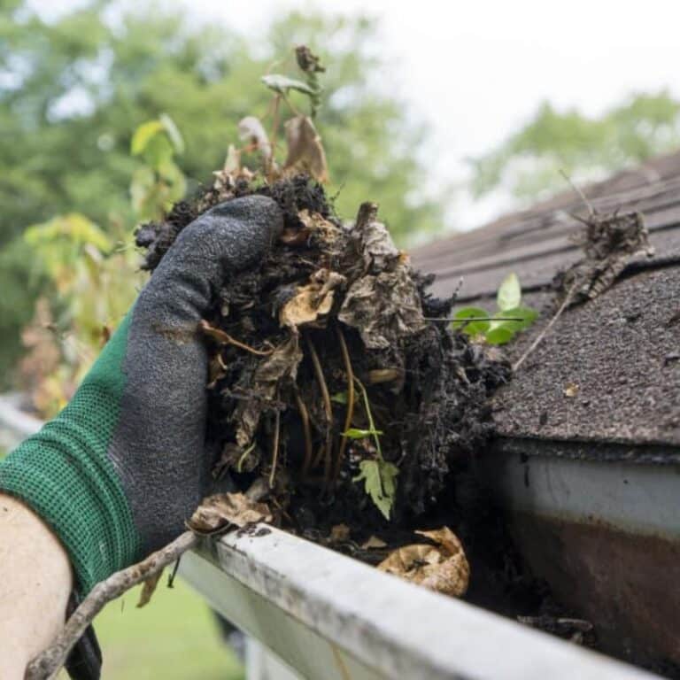 Gutter Cleaning Company in Knoxville, TN